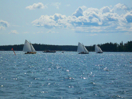 Sailboat races