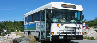 Bus