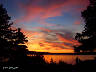 Sunset over the harbor