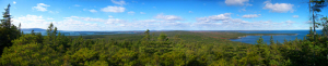 View from the Overlook looking inland