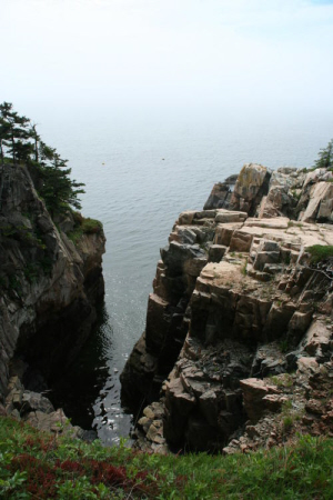 The ravens nest