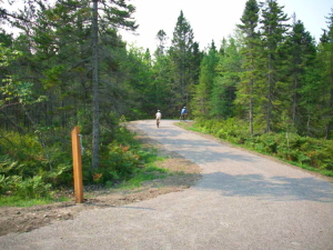 Biking the trails