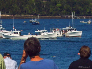 Watching the boat races from Frazers Point